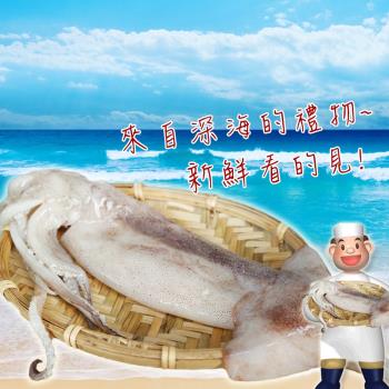 【賣魚的家】鮮凍Q彈魷魚 6包組(350g±3%/2尾/包)-共12尾