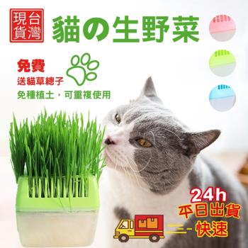 水培貓草盒的價格推薦 21年11月 比價比個夠biggo