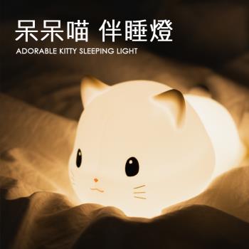 PAPA CAT 呆呆喵 貓咪伴睡燈 拍拍矽膠小夜燈 觸控燈/造型燈 USB充電 禮物