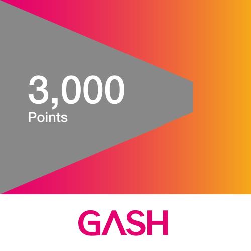 GASH 3000點