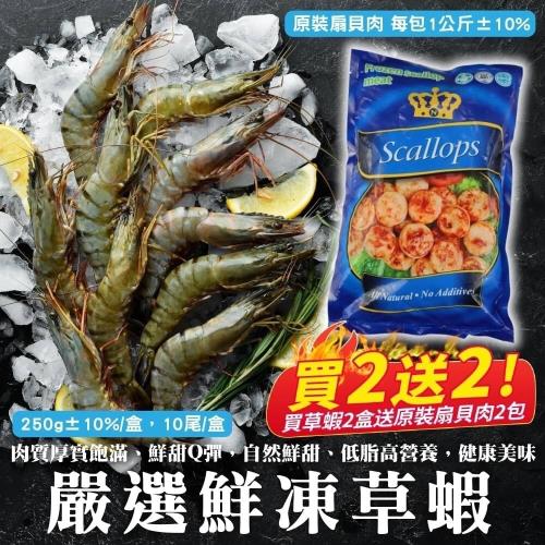 【買2送2】嚴選鮮凍草蝦2盒共20隻(10尾/約250g/盒)【送扇貝肉】