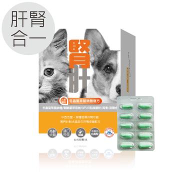毛孩寶--腎肝2合1保健膠囊-冬蟲夏草菌絲體複方 / 50粒裝(盒)