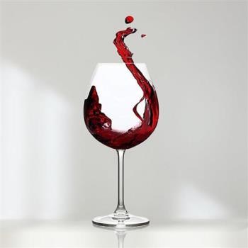 【CreativeTops】水晶玻璃紅酒杯(739ml)