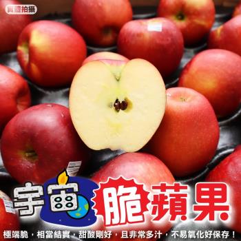 果物樂園-美國宇宙脆蘋果禮盒(8入_約2.5kg/盒)
