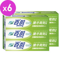 百齡Smiling 護牙周到牙膏-清新全效配方110g*6入組