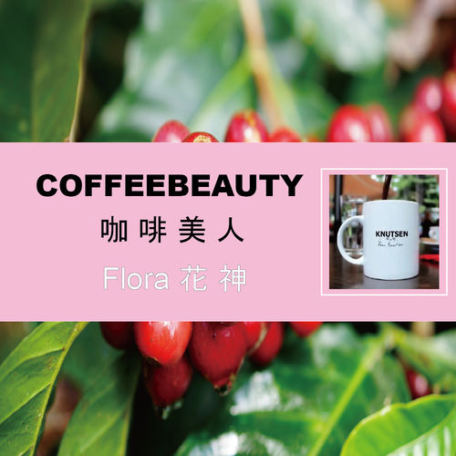 【COFFEEBEAUTY】咖啡美人_花神精品豆1磅  