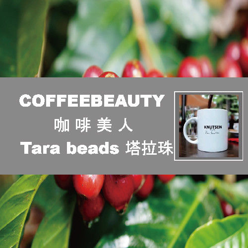 COFFEEBEAUTY】塔拉珠精品咖啡豆 