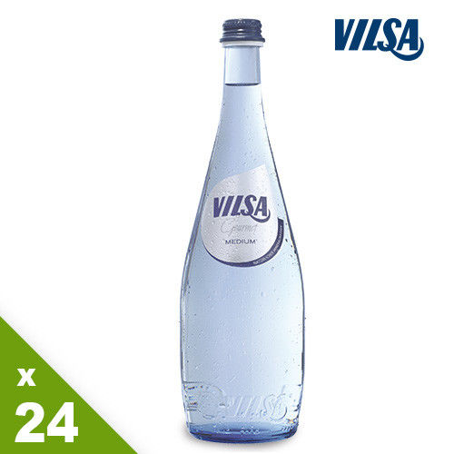Vilsa 德國維爾薩氣泡水750mlx24瓶 