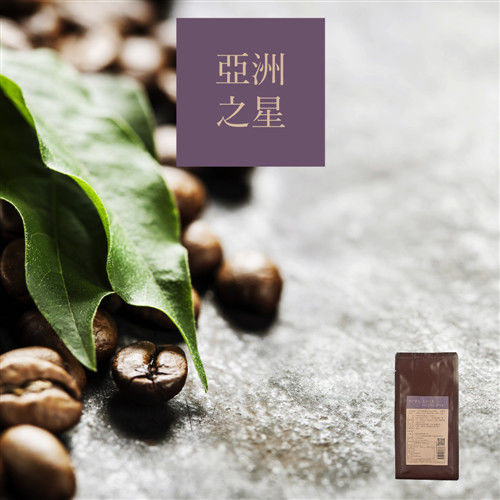 【大隱珈琲】嚴選咖啡豆 (100g) -《亞洲之星》x 3入 
