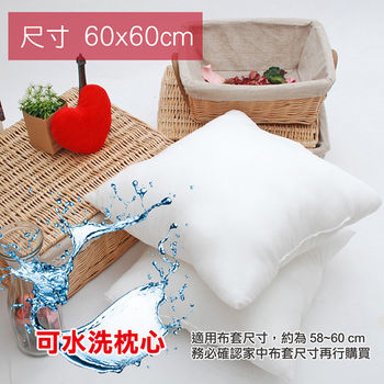 【Embrace英柏絲】水洗抱枕 60x60 枕心/裸枕-L號 台灣製(六入組)