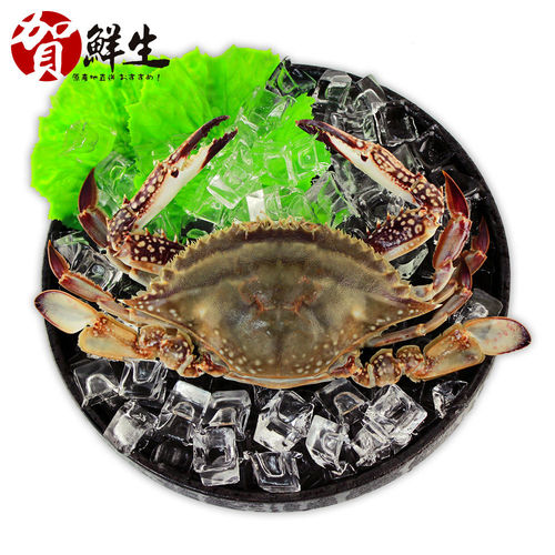 【賀鮮生】太平洋野生梭子蟹2.5kg(約8-10隻/箱/足重出貨)  