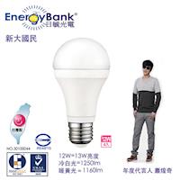 【日毓光電 新大國民系列】12W LED節能燈泡 4入(冷白光/暖黃光) 贈市價198元 1W 小夜燈/蠟燭燈2入組