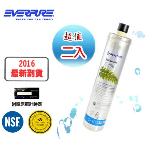 EVERPURE 美國原裝進口濾心 S-100 (2入)