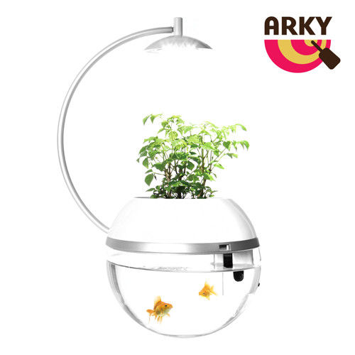 ARKY 香草與魚Herb Fish 2016