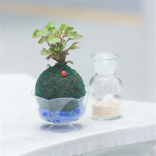 【Light+Bio】水生植物綠苔球-紫芸蔓
