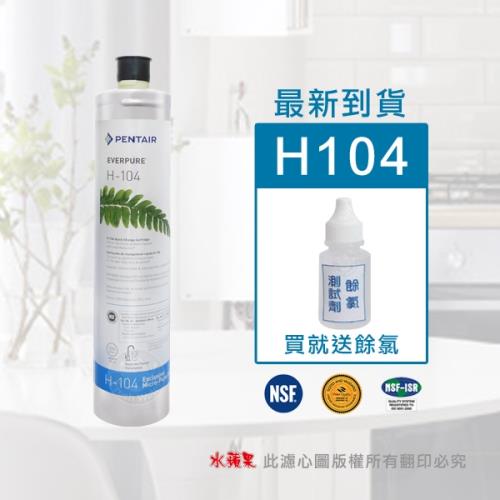 EVERPURE愛惠浦美國原廠濾心 H104 (平行輸入)