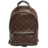 LV M41560 PALM SPRINGS系列PM牛皮鑲飾拉鍊後背包(小)