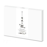【日本製】 Hiro 珪藻土 吸水快乾 地墊 浴墊 腳踏墊-L