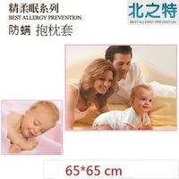 【北之特】防螨寢具_抱枕套_E3精柔眠_ (65*65 cm)