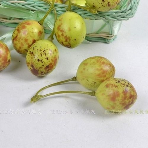  [協貿國際] 2叉仿真紅棗青棗