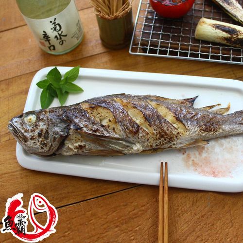 【魚博士-魚霸】野生現撈黑喉魚6尾(200-250g/尾)