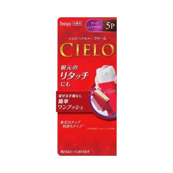 CIELOhoyu 簡便一鍵式白髮用染髮劑5P（深棕色） 1劑40g+2劑40g