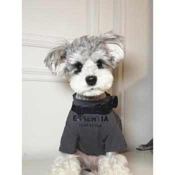 狗狗衣服夏季小型犬泰迪博美衣服薄款雪納瑞寵物T恤網紅狗狗衣服