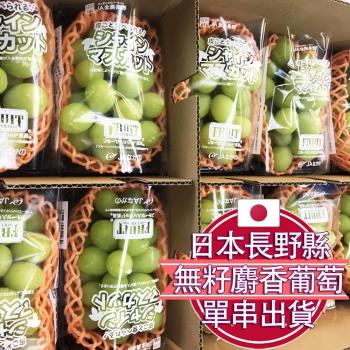 【RealShop 真食材本舖】日本空運麝香葡萄  原箱 9-11串 約5公斤+-10%  (高檔水果 團購送禮精品)