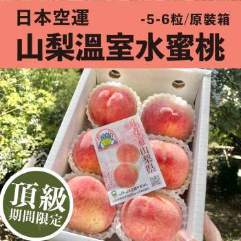 【水果狼FRUITMAN】頂級 日本山梨溫室水蜜桃禮盒 5-6玉裝 1kg 日本水蜜桃 桃子 水蜜桃