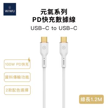 WiWU 元氣系列 100W PD快充數據線 Type-C to Type-C 1.2M YQ02