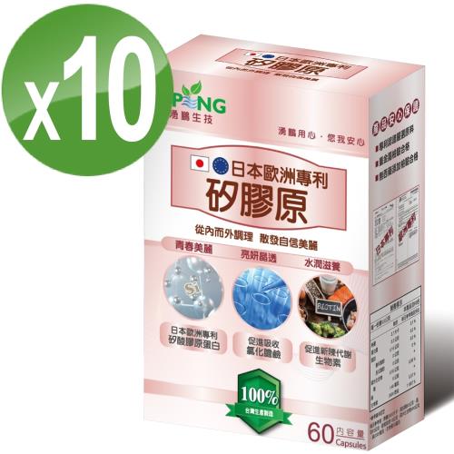 【湧鵬生技】日本歐洲雙專利認證矽膠原10入組(矽膠原:氯化膽鹼:生物素:每盒60顆:共600顆)