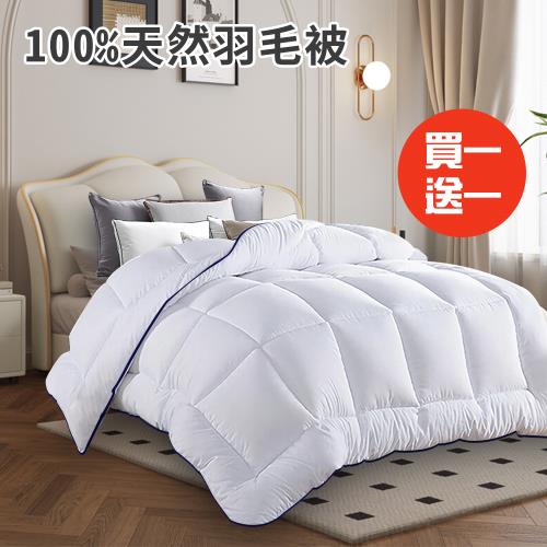 【CERES 席瑞絲】舒眠抑菌除臭100%天然羽毛被2.5Kg/買一送一(羽毛被/棉被/被子/冬被)(B0831)