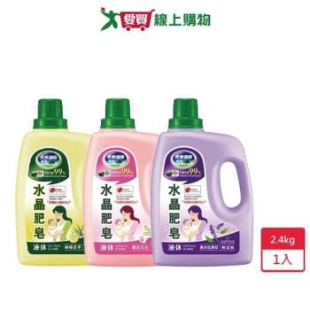 南僑水晶肥皂液體洗衣精2.4kg【愛買】