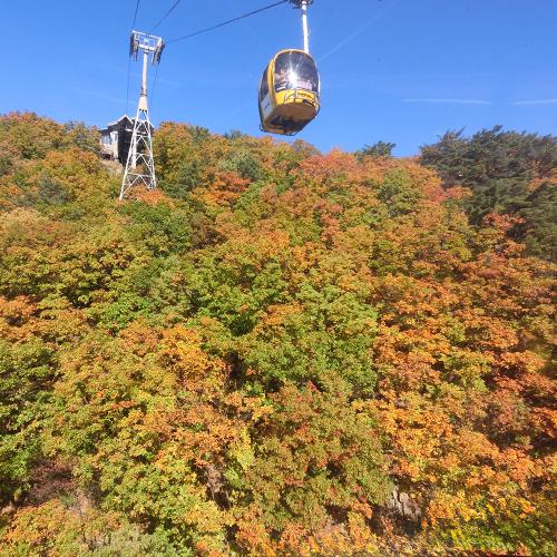 秋季出發↘易起超極愛釜慶邱賞楓~(不進人蔘、護肝、土產)八公山、加耶公園、塗鴉秀、紅酒隧道、海岸列車、長腳蟹&烤肉吃到飽五日
