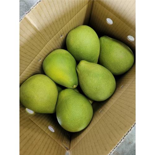 台南正宗麻豆老欉嚴選文旦