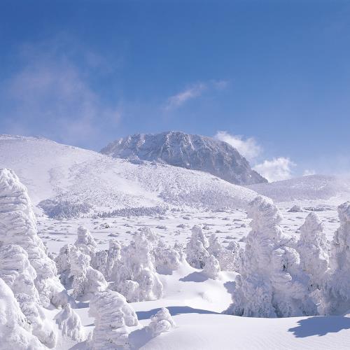 冬季出發↘威風濟州冬雪-(不走人蔘+保肝+土產)~漢拏山賞雪、鐵道自行車、跆拳武藝秀、騎駱駝、小熊軟糖世界、綠茶足浴體驗、澎派海鮮鍋&烤肉吃到飽五日