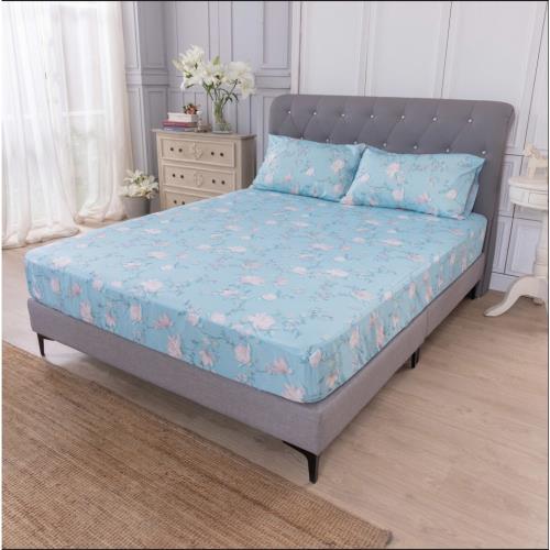 EX強效版日本生命磁超能量寢具