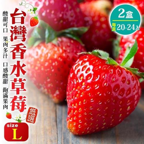 果物樂園-台灣香水草莓L號2盒(20-24入_約400g/盒)