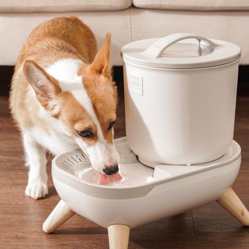 韓國PURENINE|呵呵水鹼離子寵物飲水器-D11灰色矮木