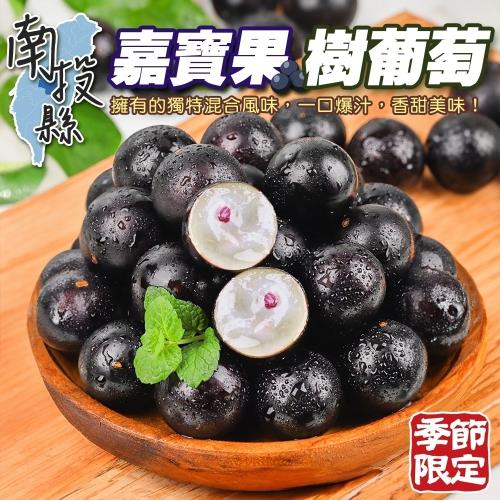 果農直配- 南投縣嘉寶果-樹葡萄 2箱(3斤/箱)