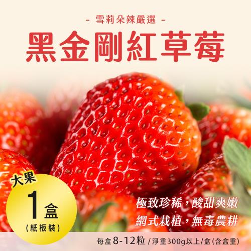 【雪莉朵辣嚴選】黑金剛紅草莓 (大果/8-12粒/淨重300g/盒)x1盒