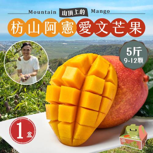 【初品果】屏東青農楊忠憲 枋山阿憲愛文芒果禮盒5斤9-12顆x1盒_預購5/1開始陸續出貨