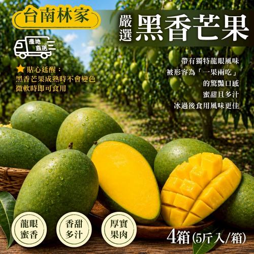預購【台南林家】特選黑香芒果5斤 x4箱(龍眼味/珍稀品種/夏季限定)