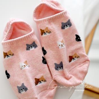 韓國進口純棉女士卡通日系可愛小貓硅膠防掉跟淺口隱形船襪女襪子