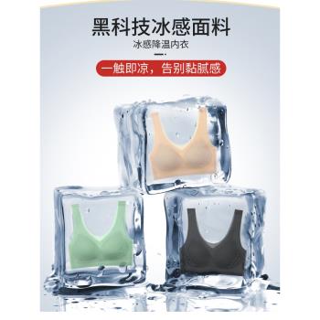 胖MM無鋼圈文胸網紗超薄透氣背心
