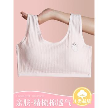 女孩青少年兒童初中生固定杯內衣