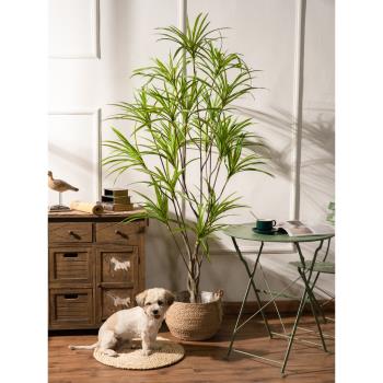 模擬大型龍血樹千年木馬尾鐵綠植植物室內落地假盆栽裝飾擺件擺設