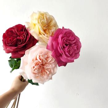 重瓣仿真花高保濕手感玫瑰奧斯汀花束月季玫瑰干花擺件裝飾推薦