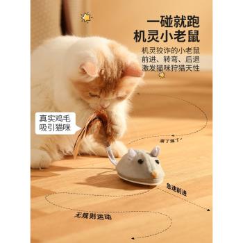 貓玩具電動小老鼠自嗨解悶神器自動感應模擬逗貓棒寵物幼貓咪用品