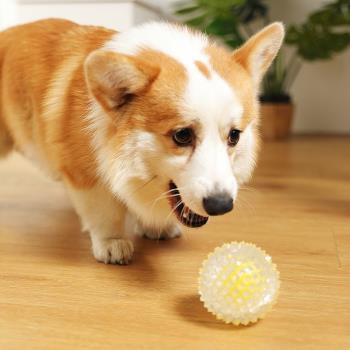 狗狗玩具寵物小狗幼犬橡膠球耐咬磨牙解悶玩具大型小型犬泰迪用品